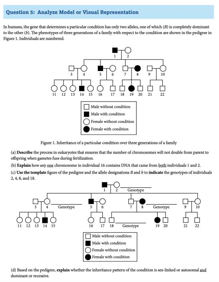 The best ap® biology review guide for 2024