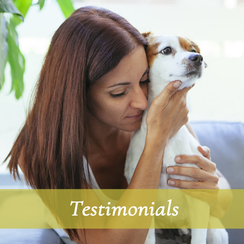 alberta pet cremation your last act of kindness to a faithful friend on pet cremation cost edmonton