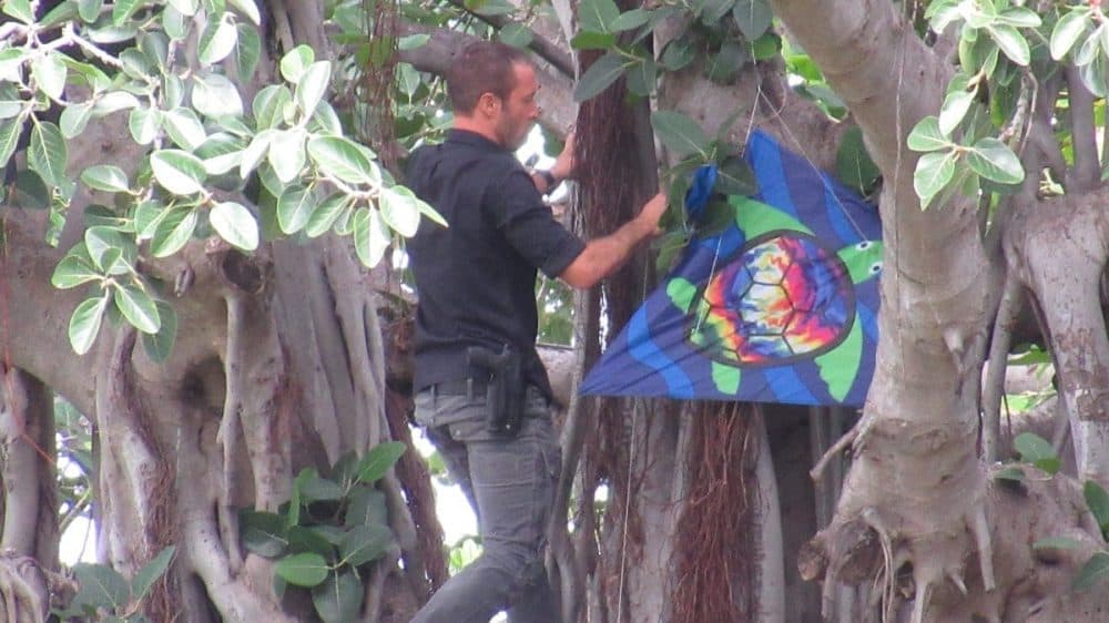 alex o'loughlin behind the scenes