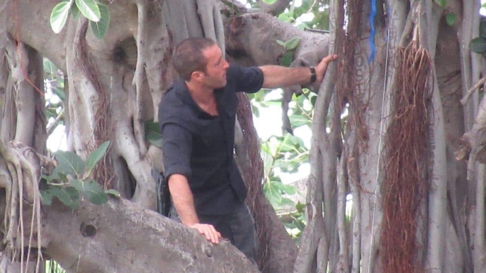 alex o'loughlin behind the scenes