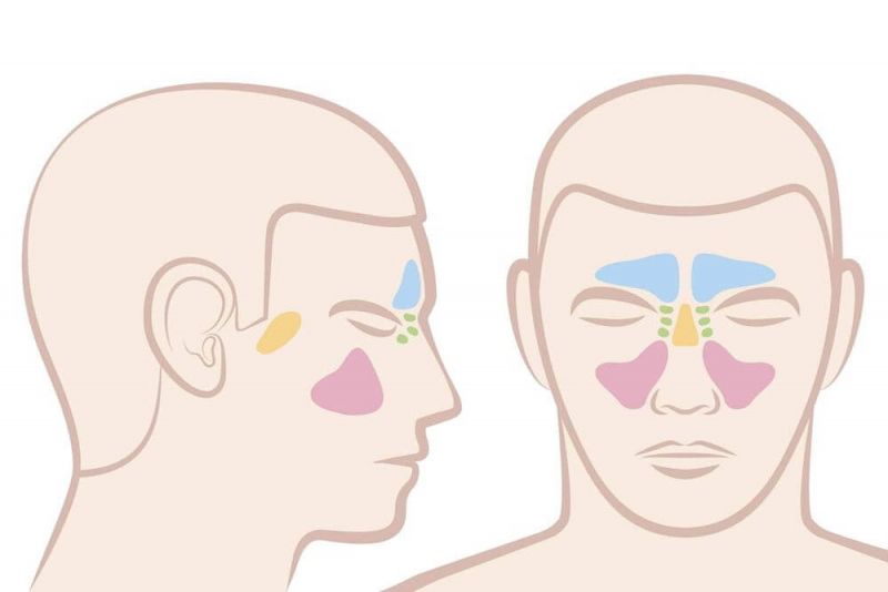 Sinus infections Are They Contagious? » alihamdan