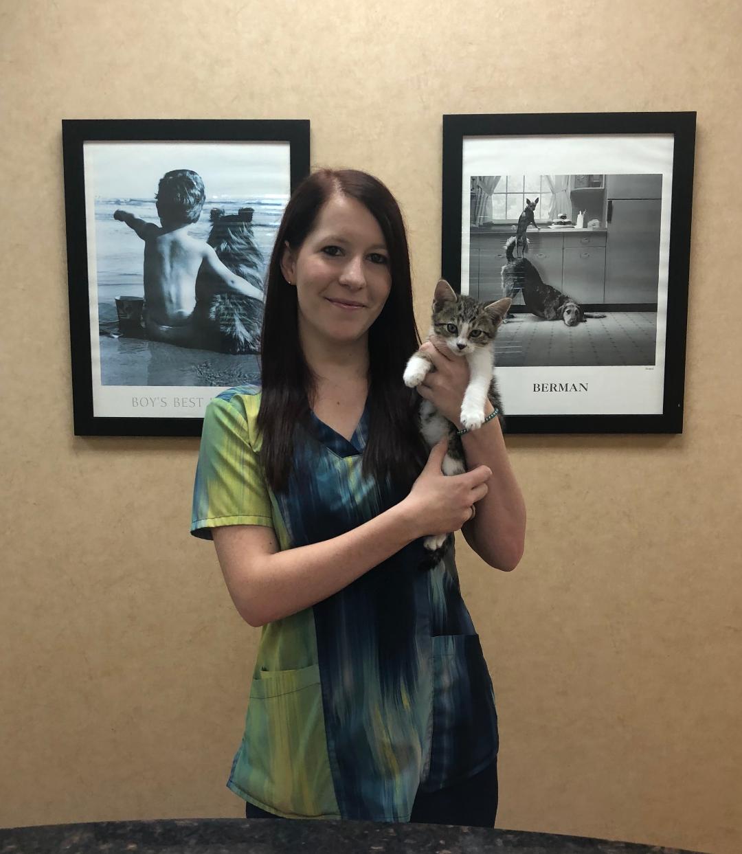 all creatures pet hospital - veterinarian in collierville tn usa meet our team on all creatures pet hospital collierville tn