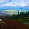 Dolly Sods Wilderness