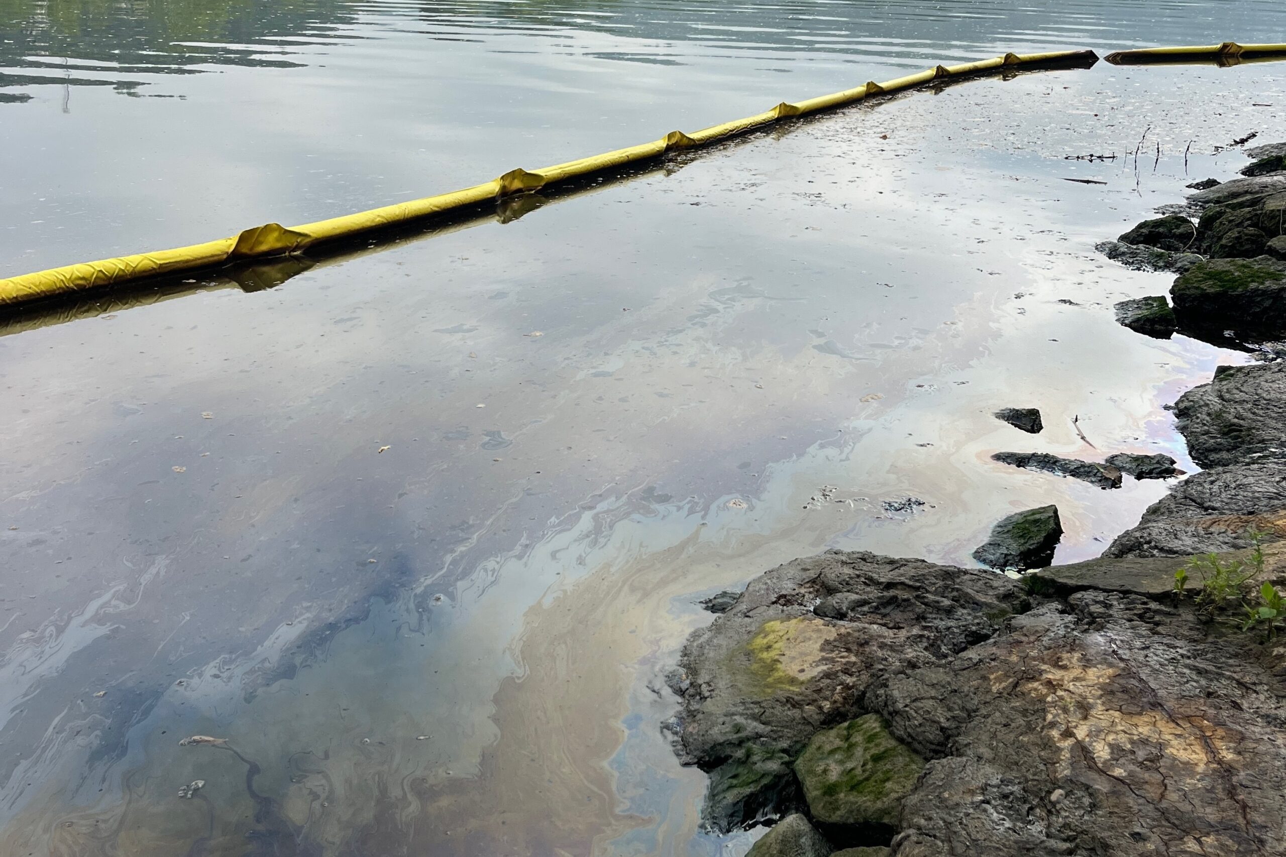 A yellow boom in the river with oily sheen on the water near the shoreline.