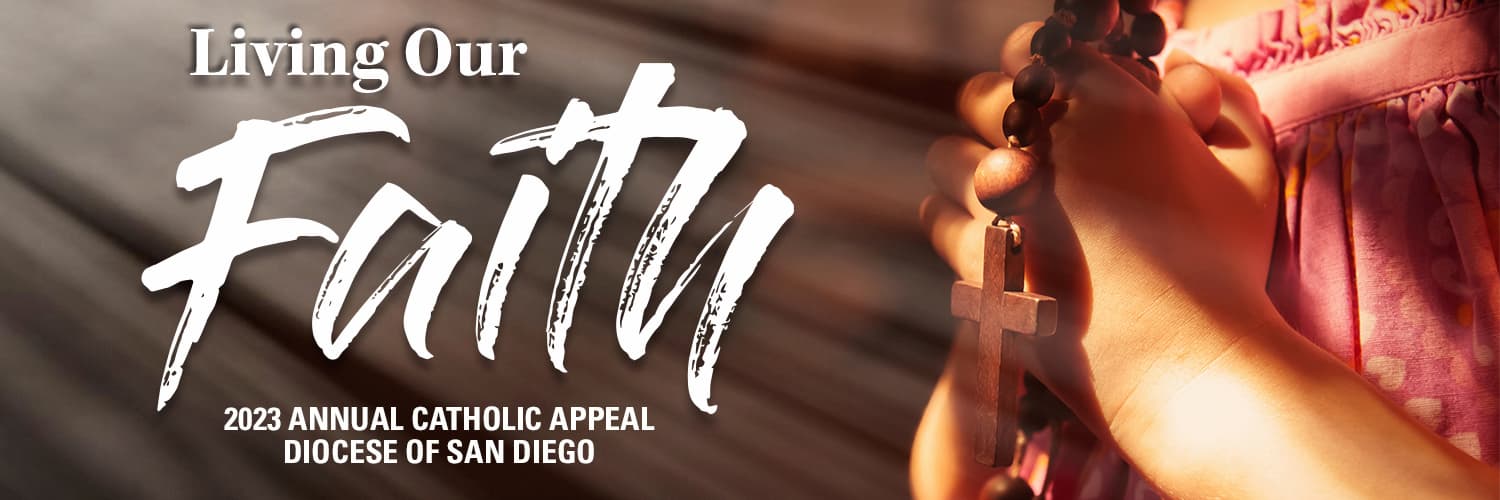 Extraordinary Stewardship through the Annual Catholic Appeal 2023 All