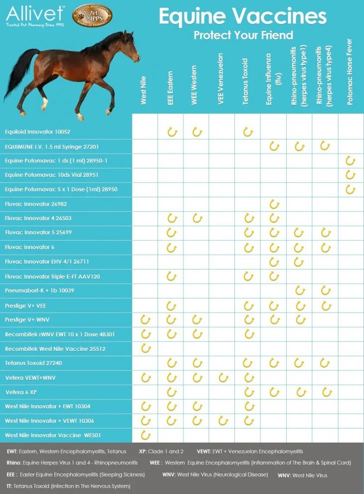 Allivet's equine vaccine chart