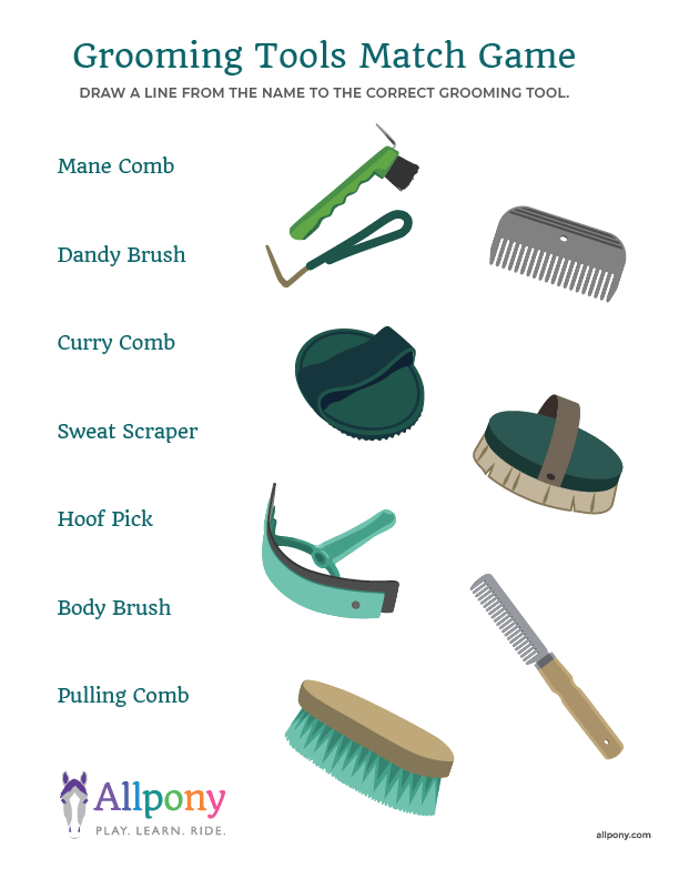 groomer tools