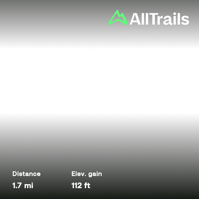 Snell Lake Sasklakes - Premium Mountain Picture Gallery - Desktop