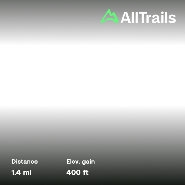 Omoikane S Shrine Wallpapers - Elegant Ultra HD Dark Patterns | Free Download