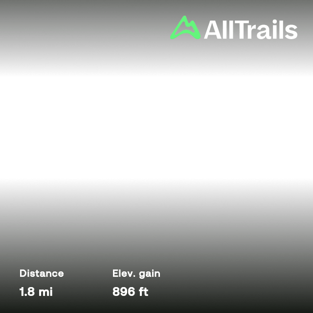 Lan Dao Linkedin - Creative Geometric Pattern - 4K