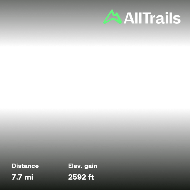 Andrew Gannel Hill Ben Cleuch And Ben Ever Circular Clackmannanshire