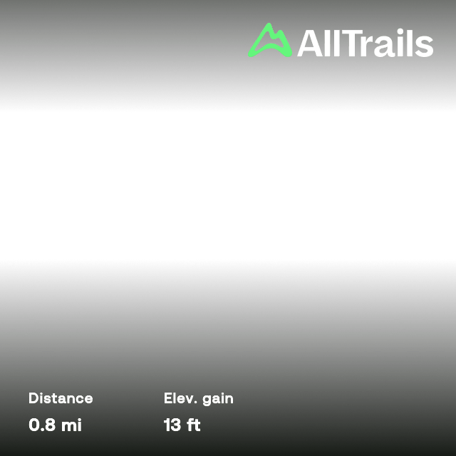 Explore Lincoln Park Loop Alltrails - Beautiful Geometric Background - Full HD