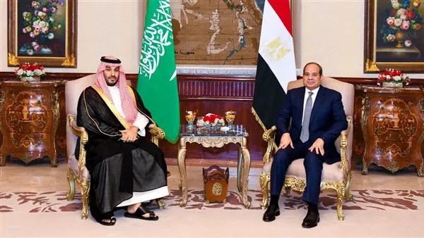 مصر والسعودية تؤكدان الحرص على ضمان حرية وأمن الملاحة في مضيقي هرمز وباب المندب مصر والسعودية تؤكدان الحرص على ضمان حرية وأمن الملاحة في مضيقي هرمز وباب المندب