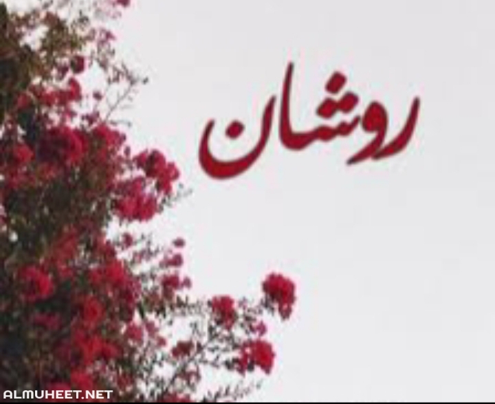 معنى اسم روشان في اللغة العربية موقع المحيط
