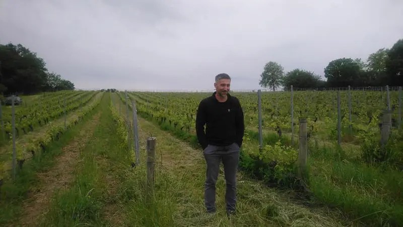 vino naturale