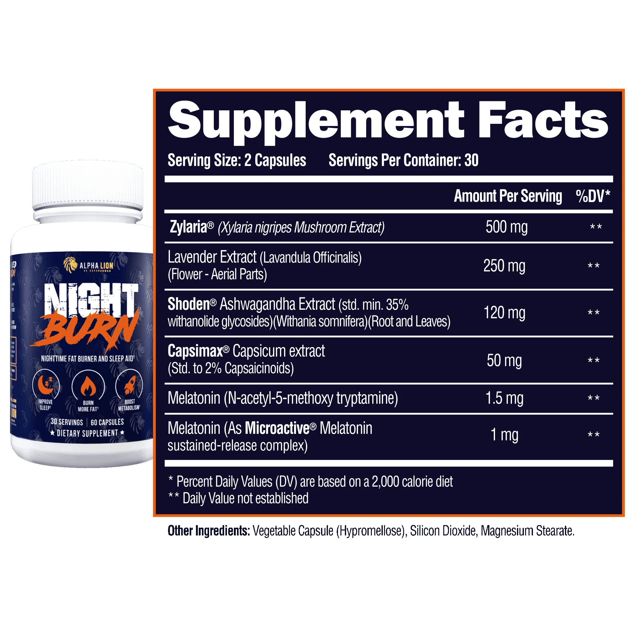 Dad Bod Destroyer Stack Burn Fat Build Muscle Look Feel Great