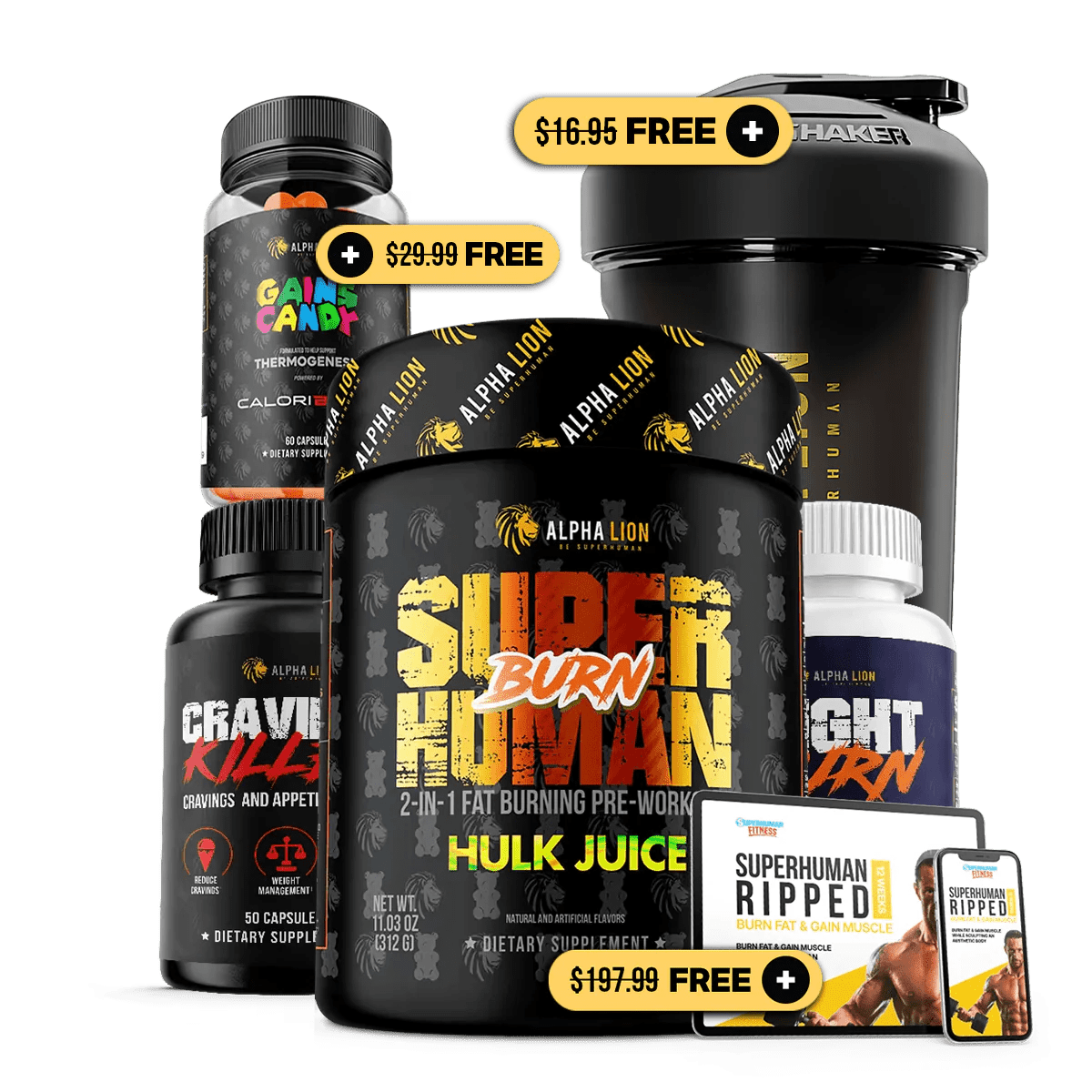 Dad Bod Destroyer Stack Burn Fat Build Muscle Look Feel Great