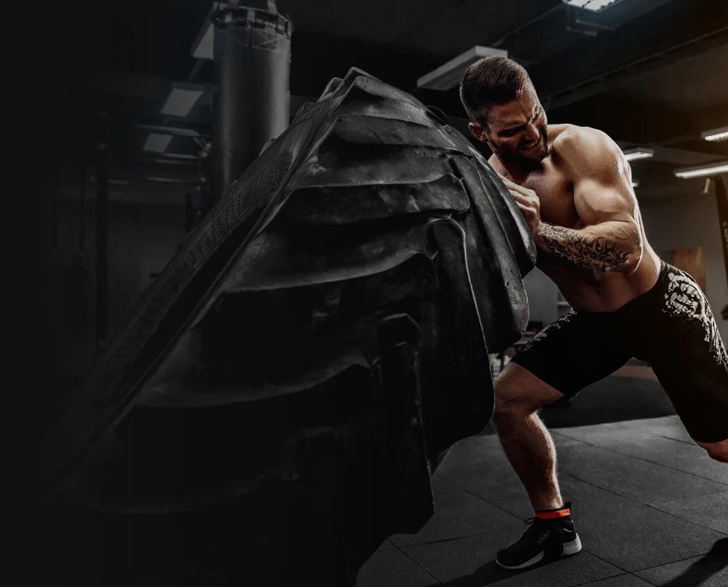 Dad Bod Destroyer Stack Burn Fat Build Muscle Look Feel Great