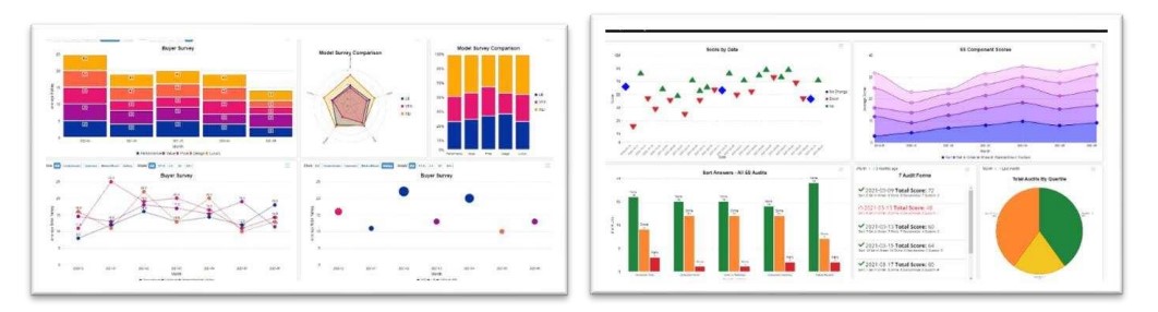 Software Solution Alpha Data - Best Colorful Patterns in Mobile