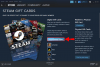 How To Gift A Steam Game Screenshot 3 25 100x67 