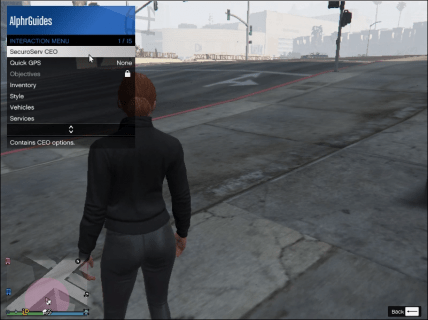 How To Register As CEO In GTA 5 GTA4 428x320 