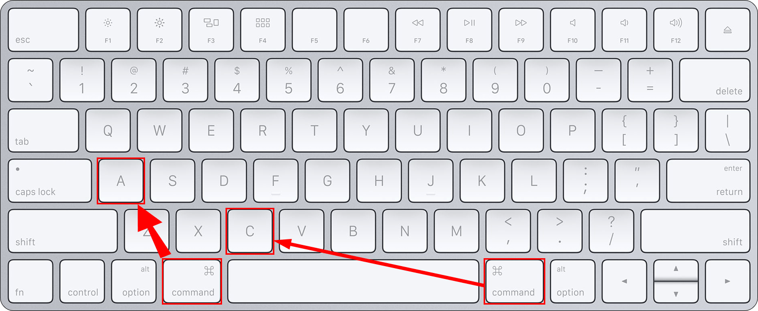 How to Export Folder Structure to Excel on a Windows PC or Mac