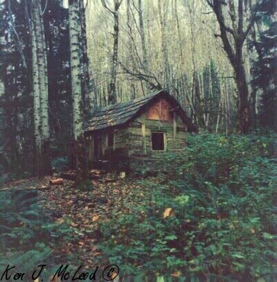 We pick forest boltholes, from log cabins and cosy cottages to tree . hermithouse.htm