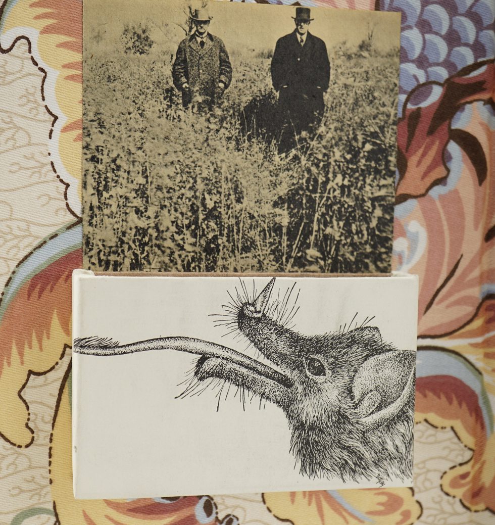 Observatory – Altered Book Art