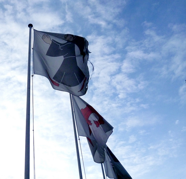 Garten Fahnenmasten Leds Gunstig Kaufen Ebay