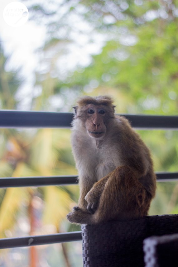 Kandy, Sri Lanka