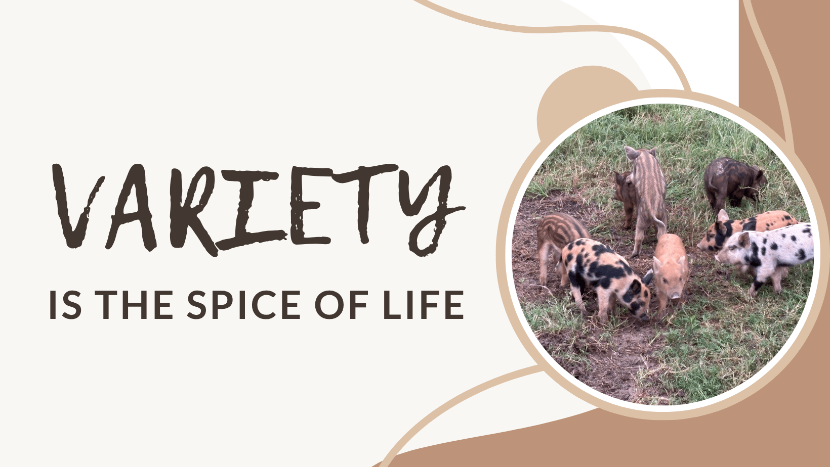 Variety is the Spice of Life