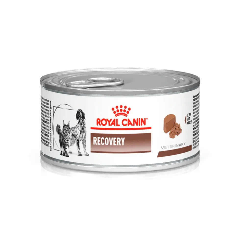 canin recovery