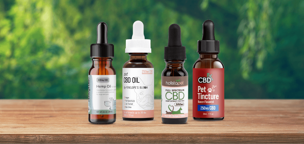 Google search is one of the easiest ways to look up an 800 number. Best Reverse Phone Lookup Sites Of 2022 Fast Reliable Accurate Amnewyork