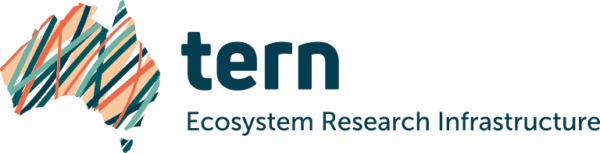TERN