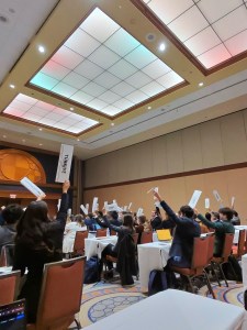 Representatives at AMUN raise their placards in the simulation.