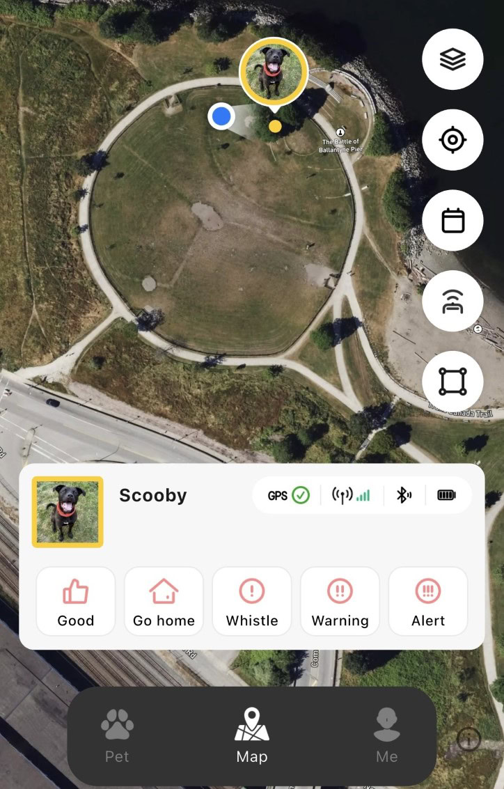 satellai screen 1 satellai screen 1