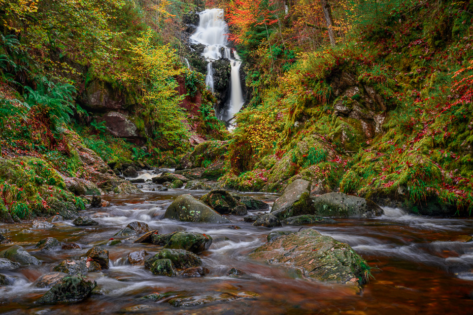 Queen Elizabeth Forest Park Waterfall