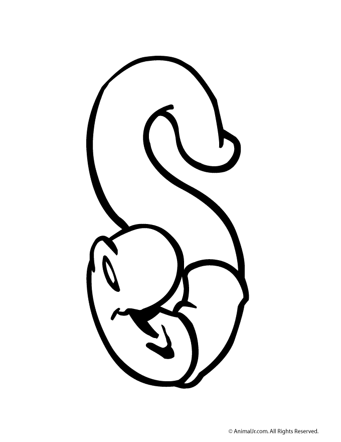 animal jr bubble letter s