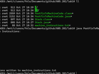 605.202.31  Lab1 – Stack Solved