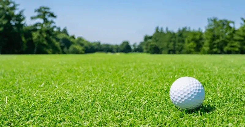 It's something too good not to share. The 35 Funniest Quotes from Happy Gilmore - AnQuotes.com