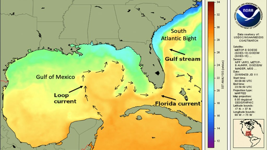 New Research Showing Link Between Florida Current And Pacific Ocean Loop Current Gulf Stream 1024x577 