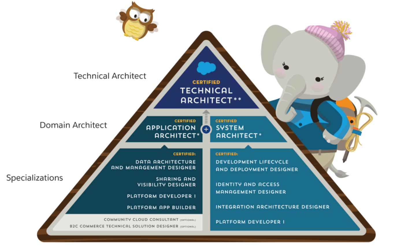 Salesforce Certification Cost Apex Hours