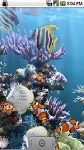 Le Veritable Aquarium Gratuit Sur Smartphone Et Tablette App Android