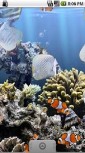 Le Veritable Aquarium Gratuit Sur Smartphone Et Tablette App Android