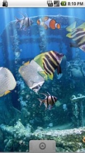 Le Veritable Aquarium Gratuit Sur Smartphone Et Tablette App Android