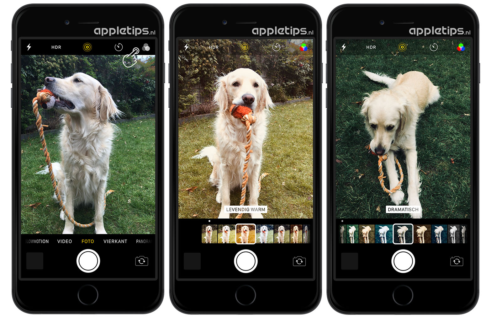Live professionele filters gebruiken in Camera voor iPhone appletips