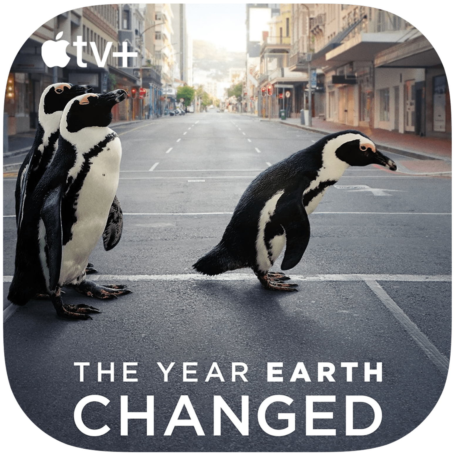 Apple TV+ suggestie: The Year Earth Changed