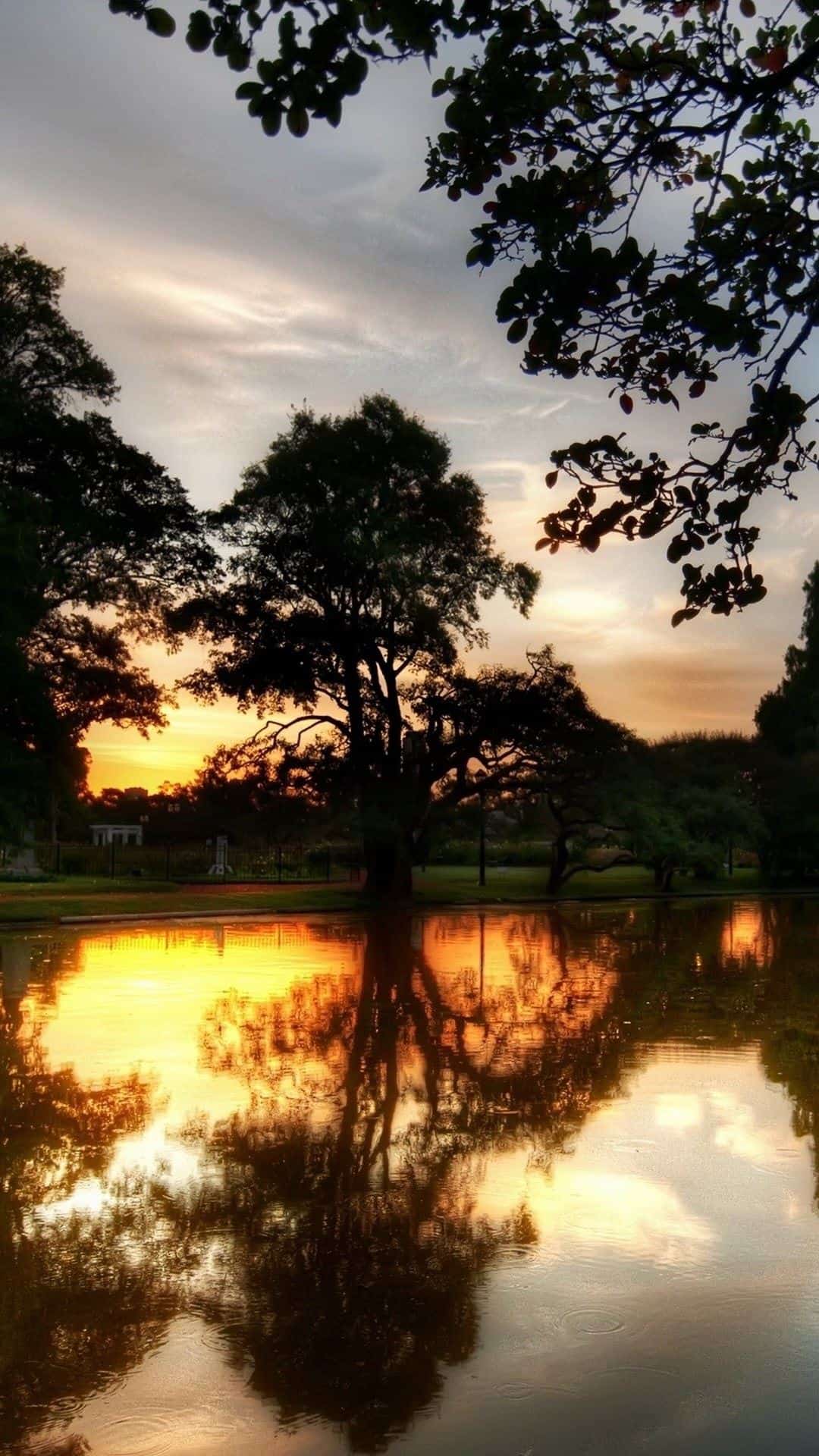 picture Paisagem Fotos 3D Para Papel De Parede Para Celular apptuts net