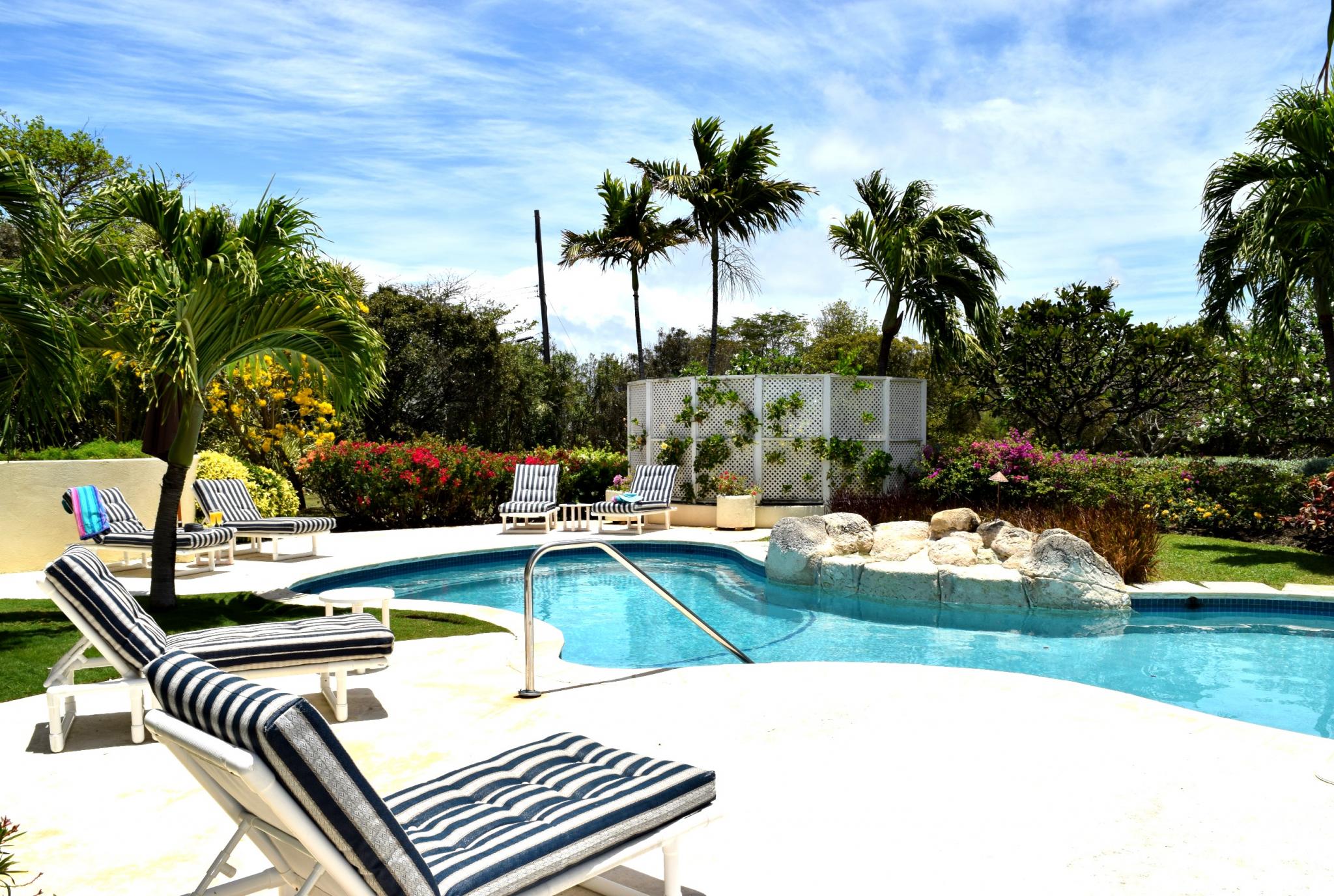 Cool backyard swimming pools