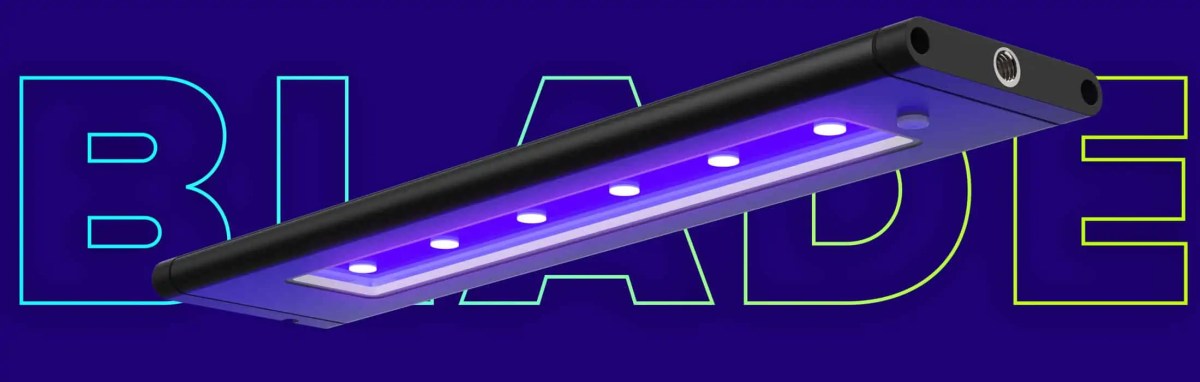 AI Blade Coral Glow